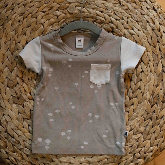 Little & Lively Pocket Slim Fit T-Shirt - Toadstool - Picture 8 of 9